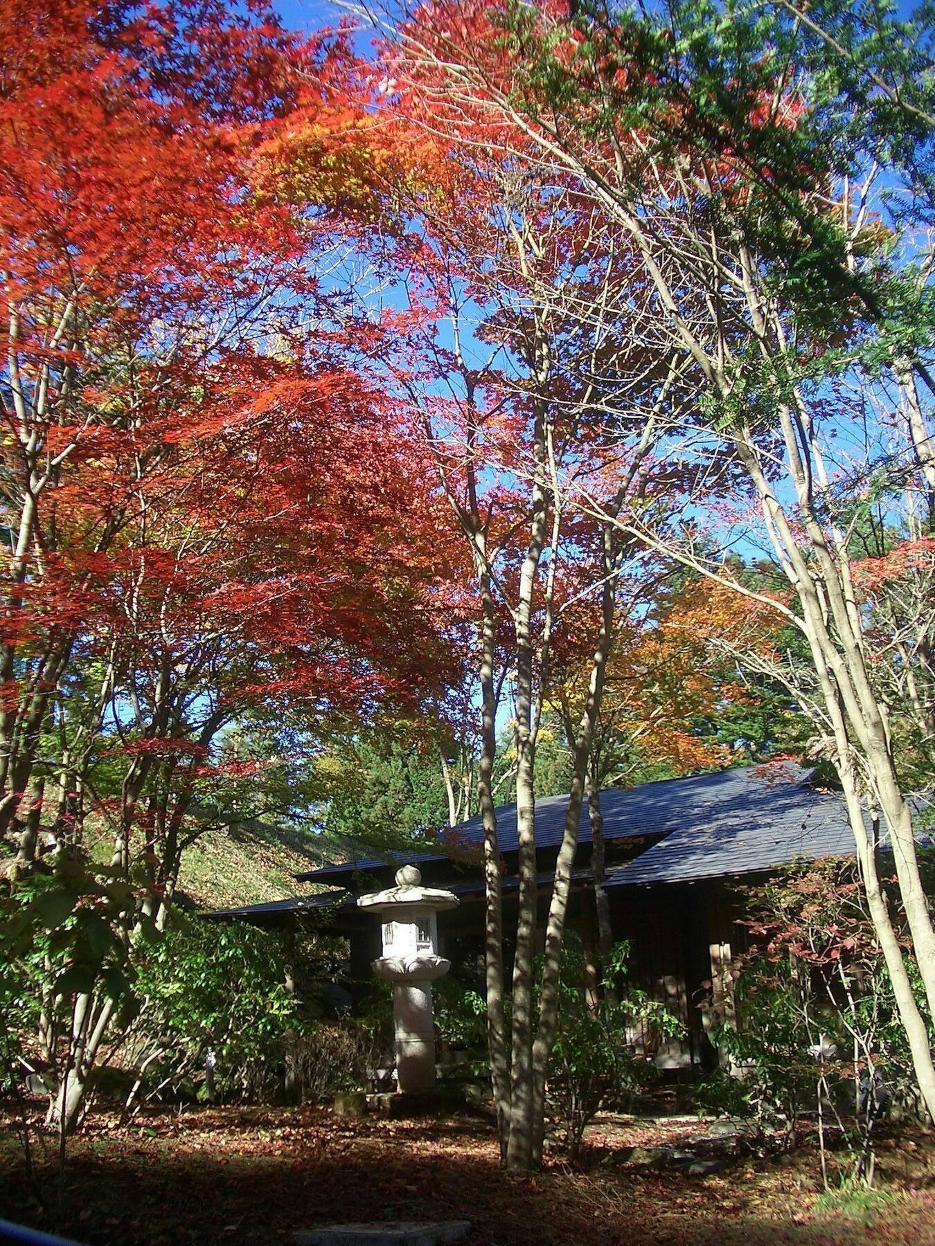 Shikitei Hotel Fujiyoshida Exterior photo